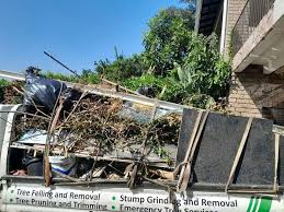 Best Attic Cleanout  in Westernport, MD